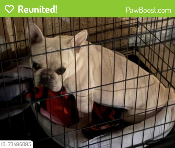 Reunited Male Dog last seen Hwy 18 and kiowa, Apple Valley, CA 92307