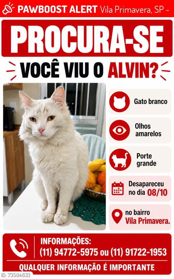 Lost Male Cat last seen Rua Luis Chagas Dória, Vila Primavera, Vila Primavera, SP 03388-010
