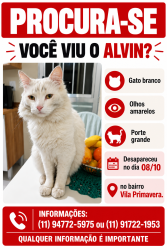 Lost Male Cat last seen Rua Luis Chagas Dória, Vila Primavera, Vila Primavera, SP 03388-010