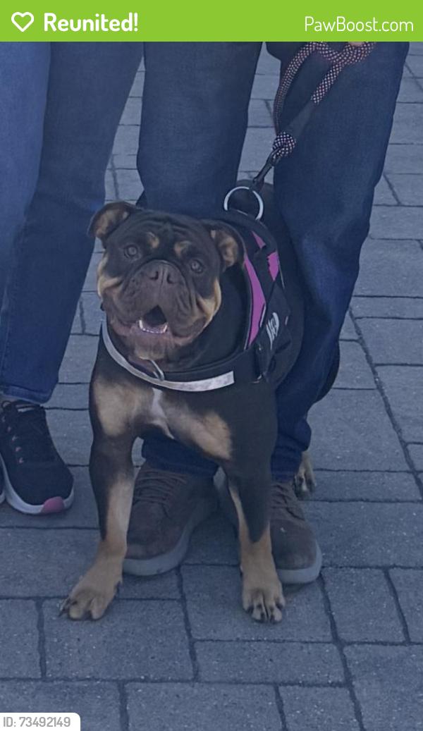 Reunited Female Dog last seen Northlake shooting sports, Northlake, TX 76262