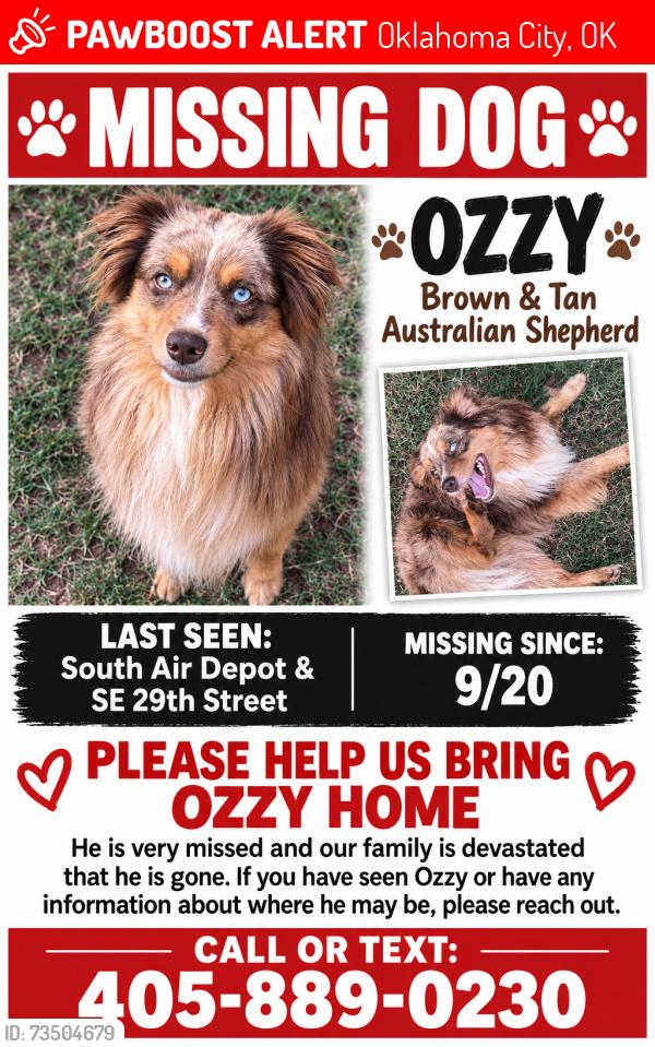 Lost Male Dog last seen sam’s club on SE29th, Oklahoma City, OK 73110