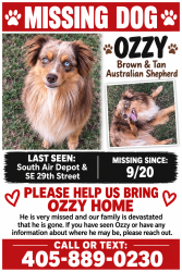 Lost Male Dog last seen sam’s club on SE29th, Oklahoma City, OK 73110