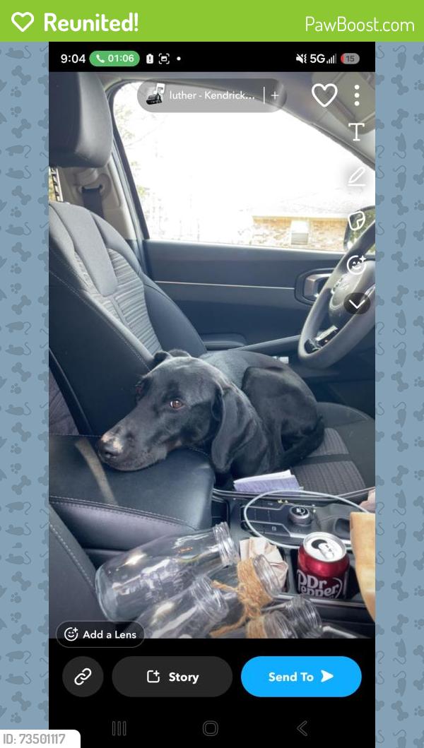 Reunited Female Dog last seen Near Teresa Drive, Saint Martinville, LA 70582