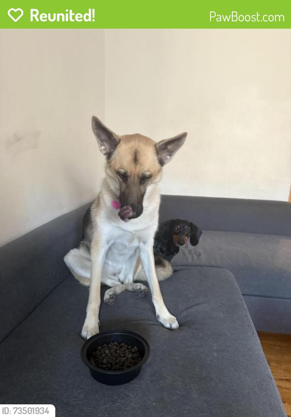 Reunited Female Dog last seen UES-UWS, New York, NY 10024