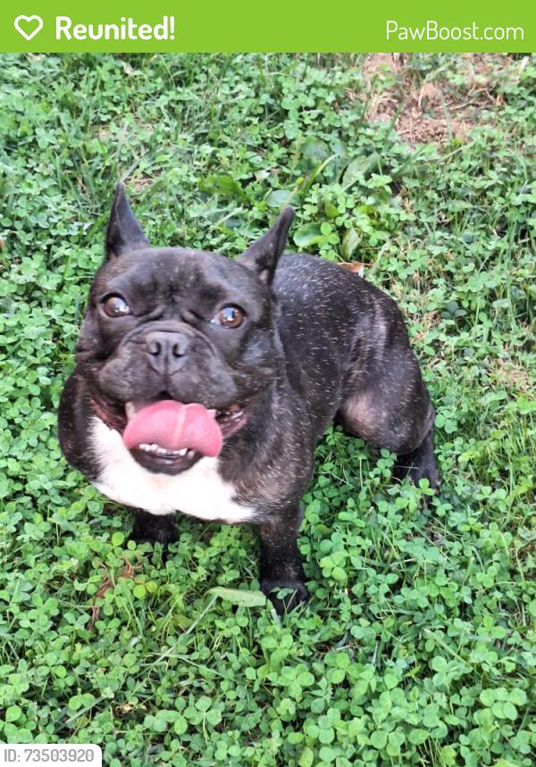 Reunited Female Dog last seen Galbraith Road Colerain Avenue, Cincinnati, OH 45224
