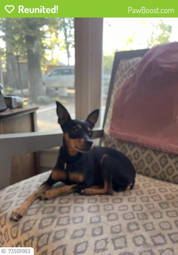 Reunited Female Dog last seen John Howell Park/ Virginia Avenue, Atlanta, GA 30306