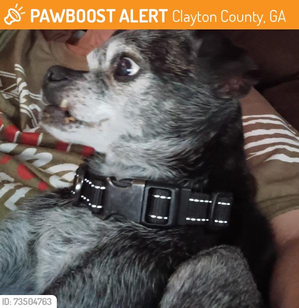 Found/Stray Male Dog last seen Walker Rd, Riverdale Rd, Clayton County, GA 30296