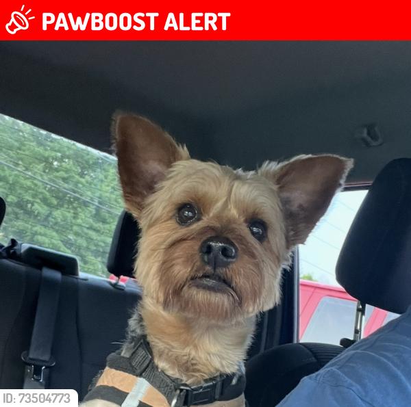 Lost Male Dog last seen Audubon pl, Gwinnett County, GA 30093
