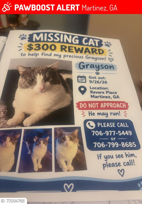 Lost Male Cat last seen Revere place, Martinez, GA 30907