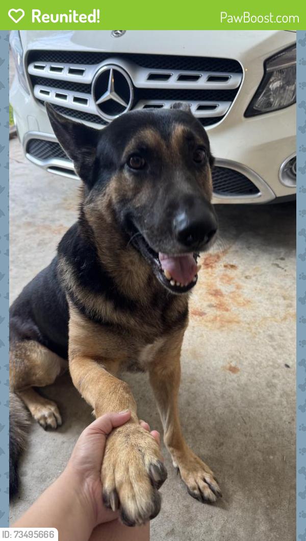 Reunited Male Dog last seen Southeast little rock, Little Rock, AR 72206