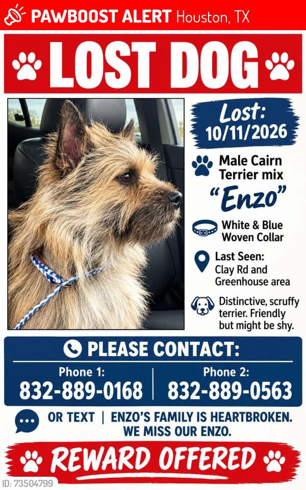 Lost Male Dog last seen Greenhouse & clay rd, Houston, TX 77084