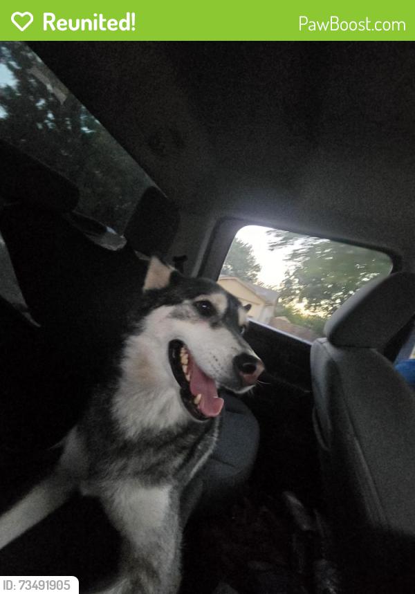 Reunited Female Dog last seen Worley Middle School, Mansfield, TX 76063