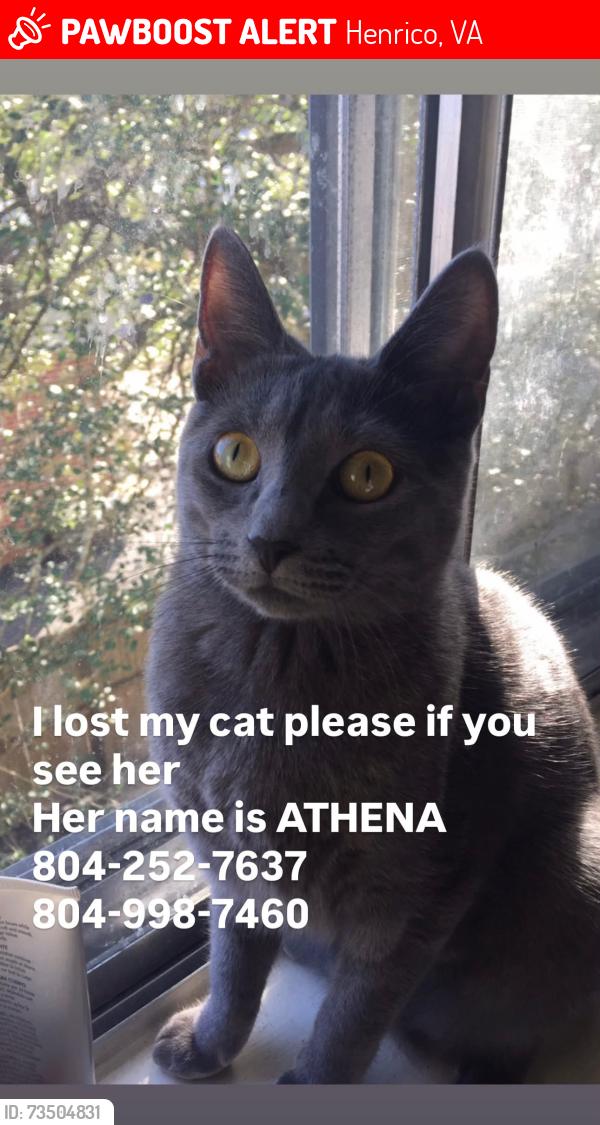 Lost Female Cat last seen Cabin creek complex, Henrico, VA 23238