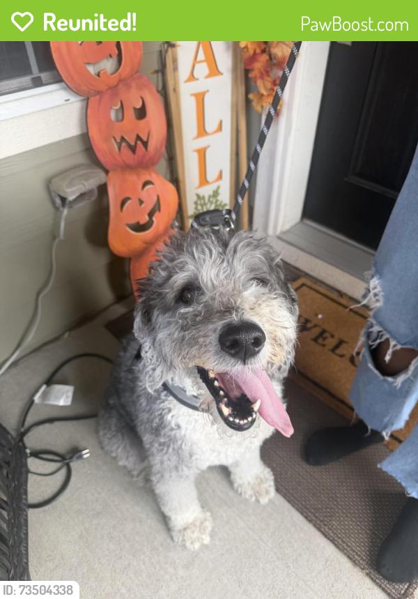 Reunited Male Dog last seen Iola and E Martin Luther King, Central Park Denver CO, Denver, CO 80238