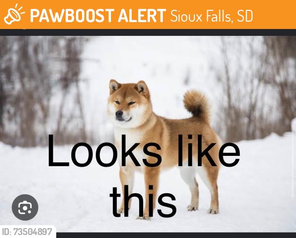 Found/Stray Unknown Dog last seen Near South Larkspur Trail, 57106, Sioux Falls, Sioux Falls, SD 57106