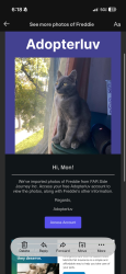 Lost Male Cat last seen Park pl between brooklyn ave and kingston ave, Brooklyn, NY 11213