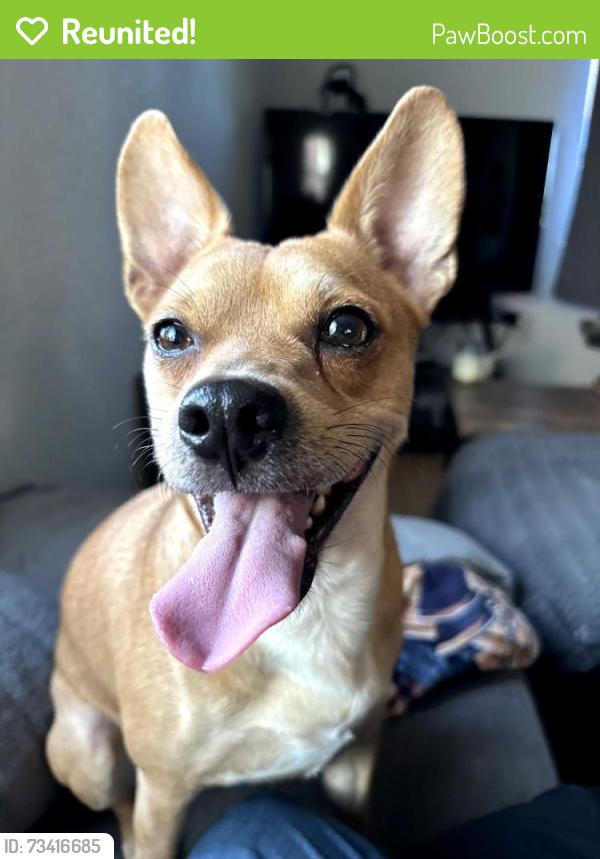 Reunited Male Dog last seen Clayton College area, Denver, CO 80205