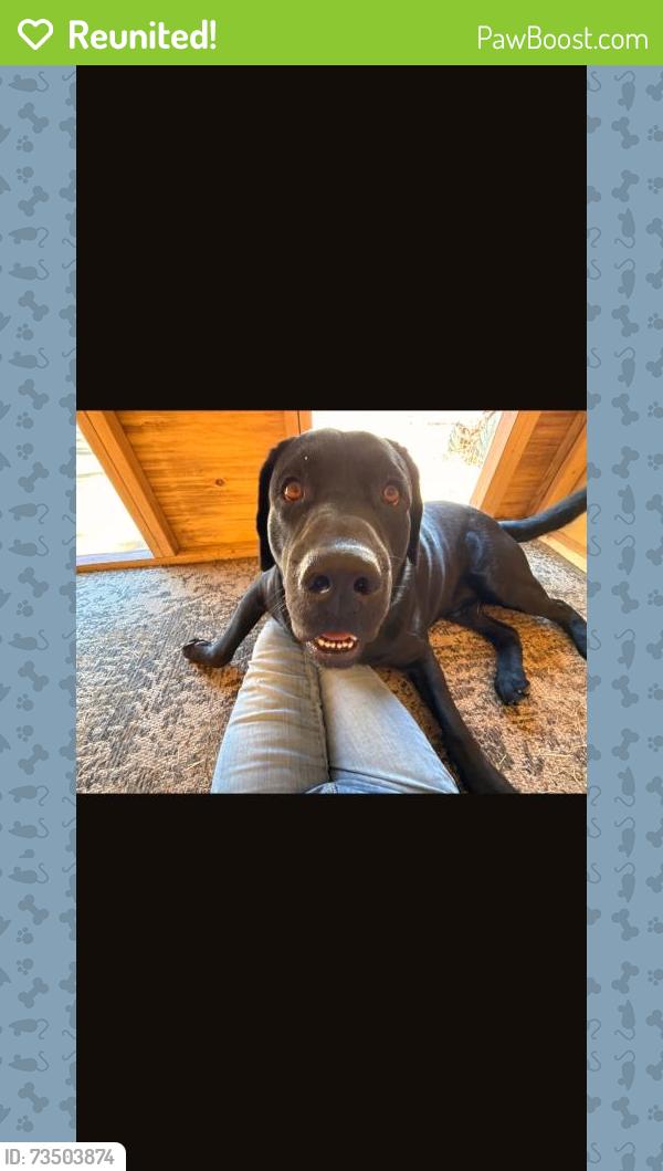 Reunited Male Dog last seen Smith and Stowe, Winchester, CA 92596