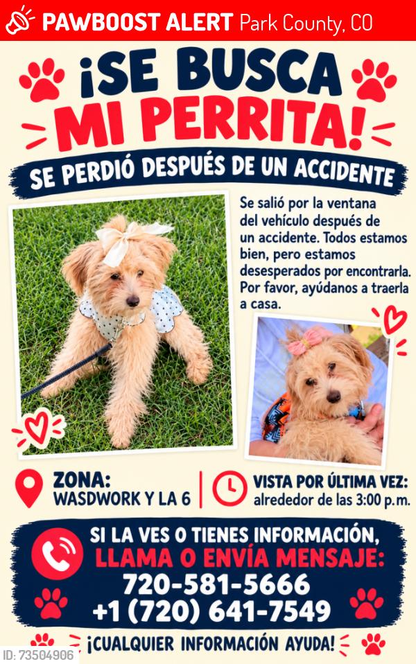 Lost Female Dog last seen colorado, Park County, CO 80448