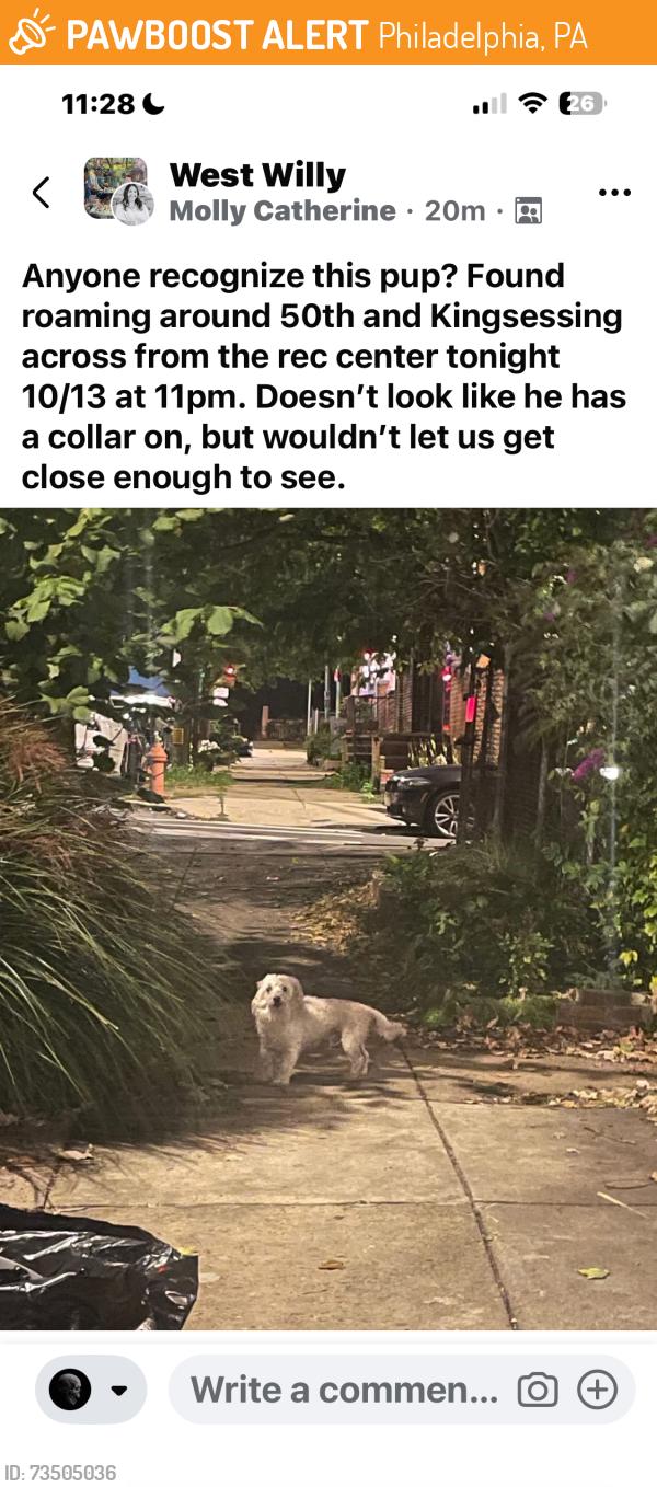 Found/Stray Unknown Dog last seen 50th and Kingsessing, Philadelphia, PA 19104