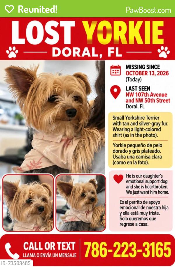 Reunited Male Dog last seen Near and 50 st, Doral, FL 33178