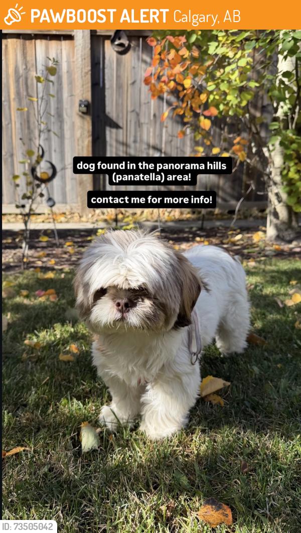 Found/Stray Female Dog last seen Panatella Area, Calgary, AB 