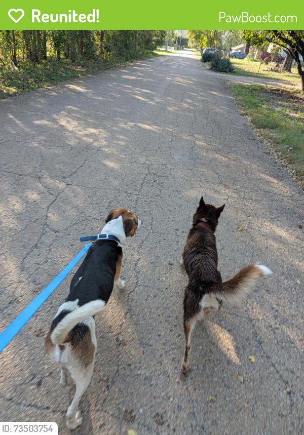 Reunited Unknown Dog last seen NW 18th & NW Furman Rd. Off Lower Silver Lake Rd., Topeka, KS 66618