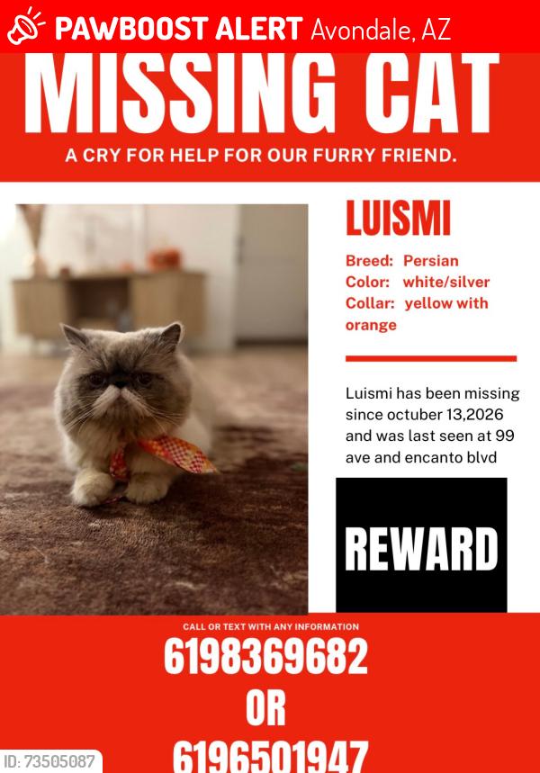 Lost Male Cat last seen Thomas and McDowell, Avondale, AZ 85392