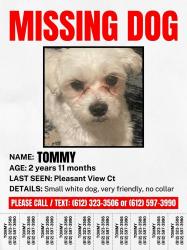 Reunited Male Dog last seen Pleasant View Ct, Mounds View, MN 55112