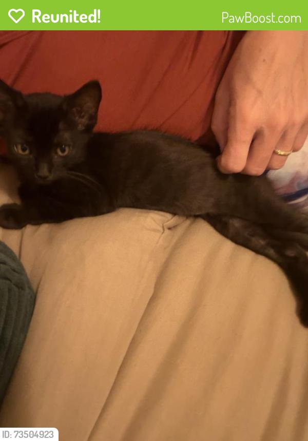 Reunited Male Cat last seen Oceanview trailer park, Oceanside, CA 92054
