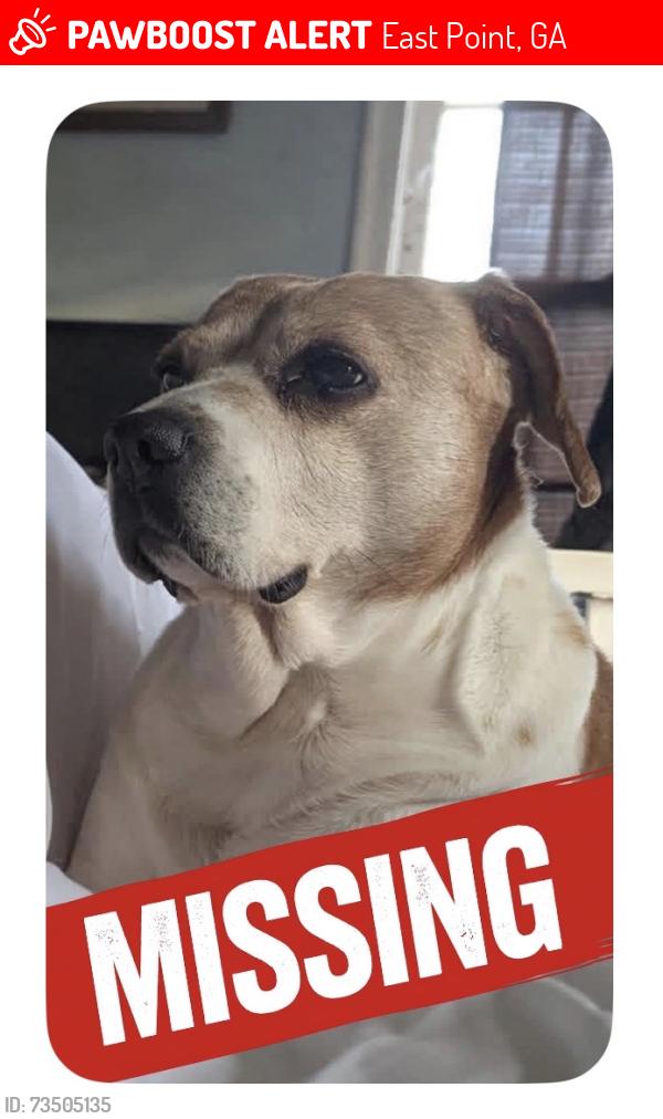 Lost Male Dog last seen East Point, East Point, GA 30344