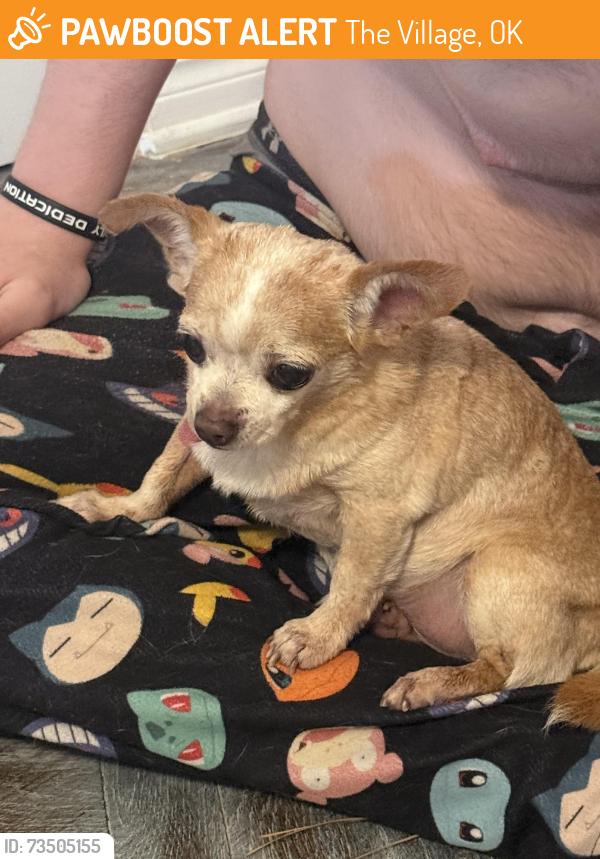 Found/Stray Male Dog last seen North Penn near Andover, The Village, OK 73120