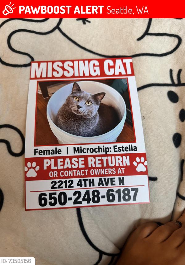 Lost Female Cat last seen Boston and 4th Avenue North, Seattle, WA 98109
