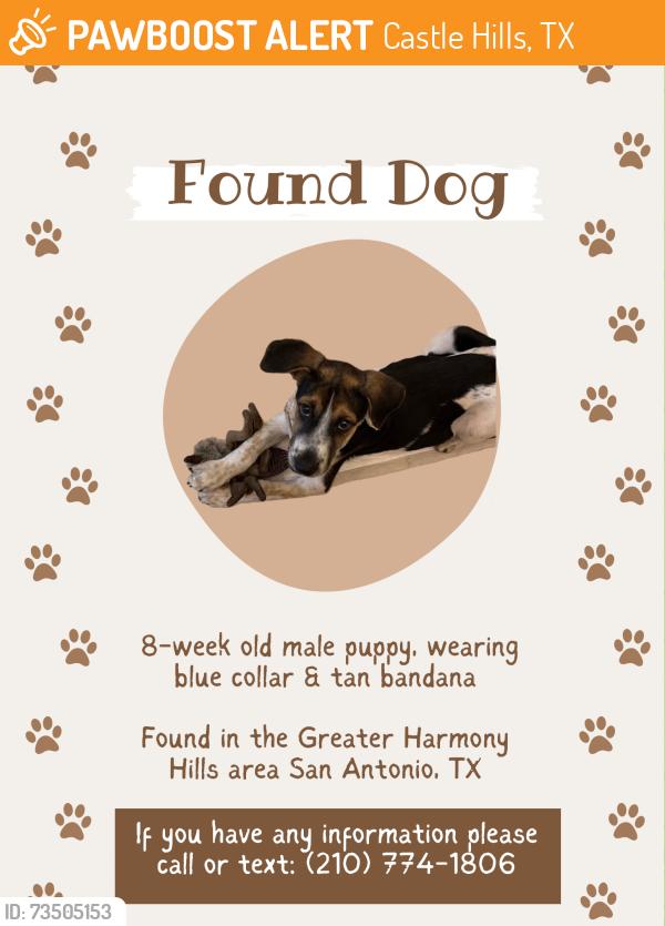 Found/Stray Male Dog last seen Greater Harmony Hills, Castle Hills, TX 78213