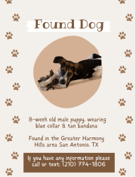 Found/Stray Male Dog last seen Greater Harmony Hills, Castle Hills, TX 78213