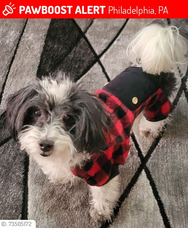 Lost Male Dog last seen Front st, Philadelphia, PA 19120
