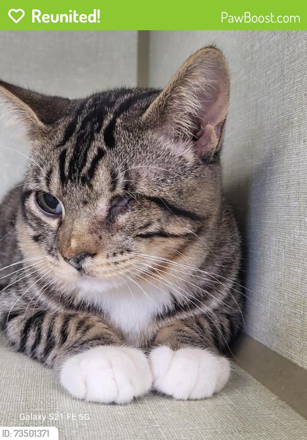 Reunited Male Cat last seen Mann Rd, Cut and Shoot, TX 77303, USA, Cut and Shoot, TX 77303