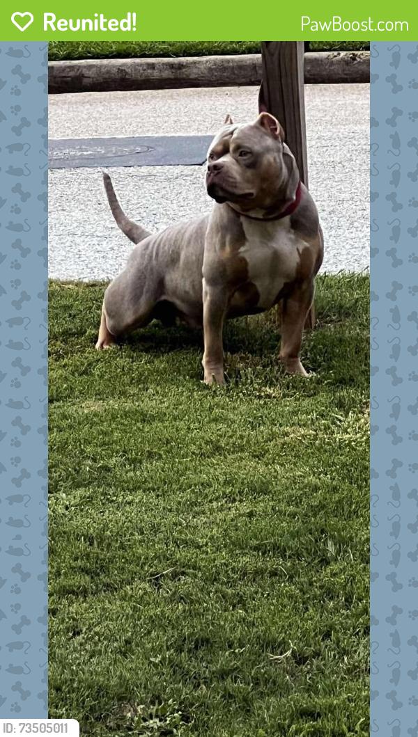 Reunited Male Dog last seen GLYNN STREET FAYETTEVILLE GA, Fayetteville, GA 30214