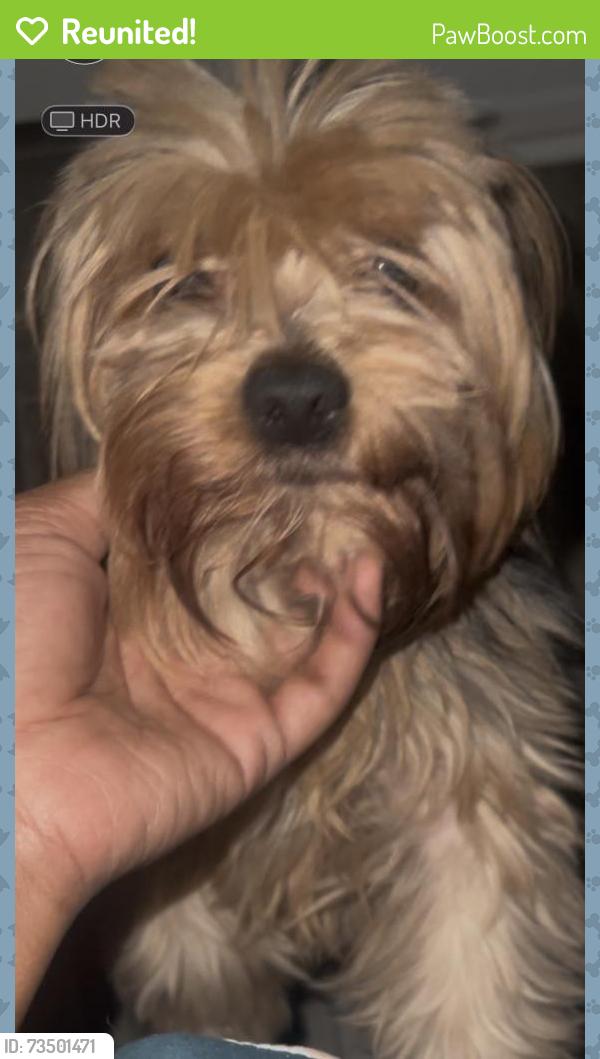 Reunited Male Dog last seen Hulen and Granbury, Fort Worth, TX 76133