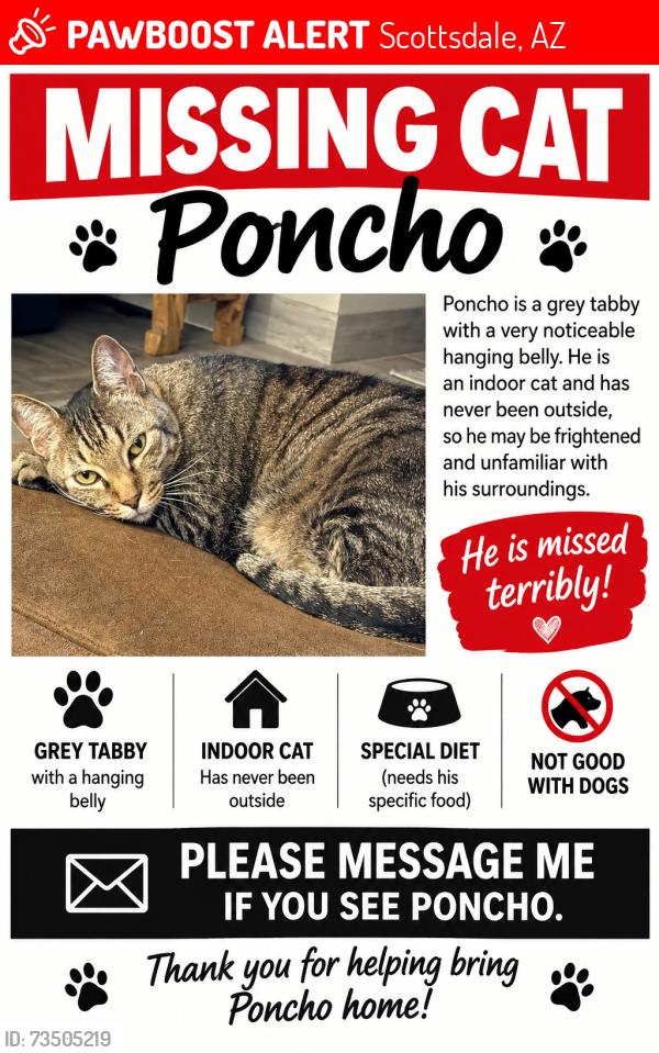 Lost Male Cat last seen 87th and Granite Reef off Heatherbrae Ave, Scottsdale, AZ 85251