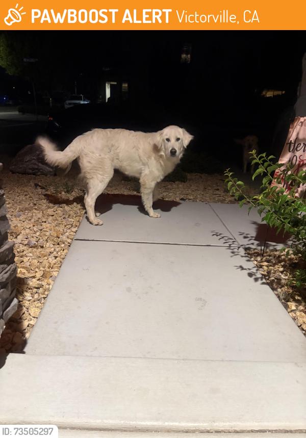 Found/Stray Unknown Dog last seen Mesa Linda, Victorville, CA 92392