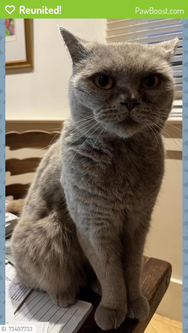 Reunited Male Cat last seen opposite school field, Essex, England 