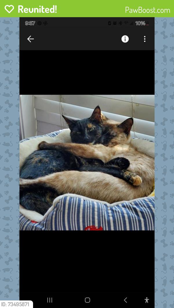 Reunited Female Cat last seen IOWA and MIDDLETON, Nampa, ID 83686