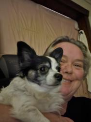 Reunited Female Dog last seen Englewood area, Independence, MO 64052