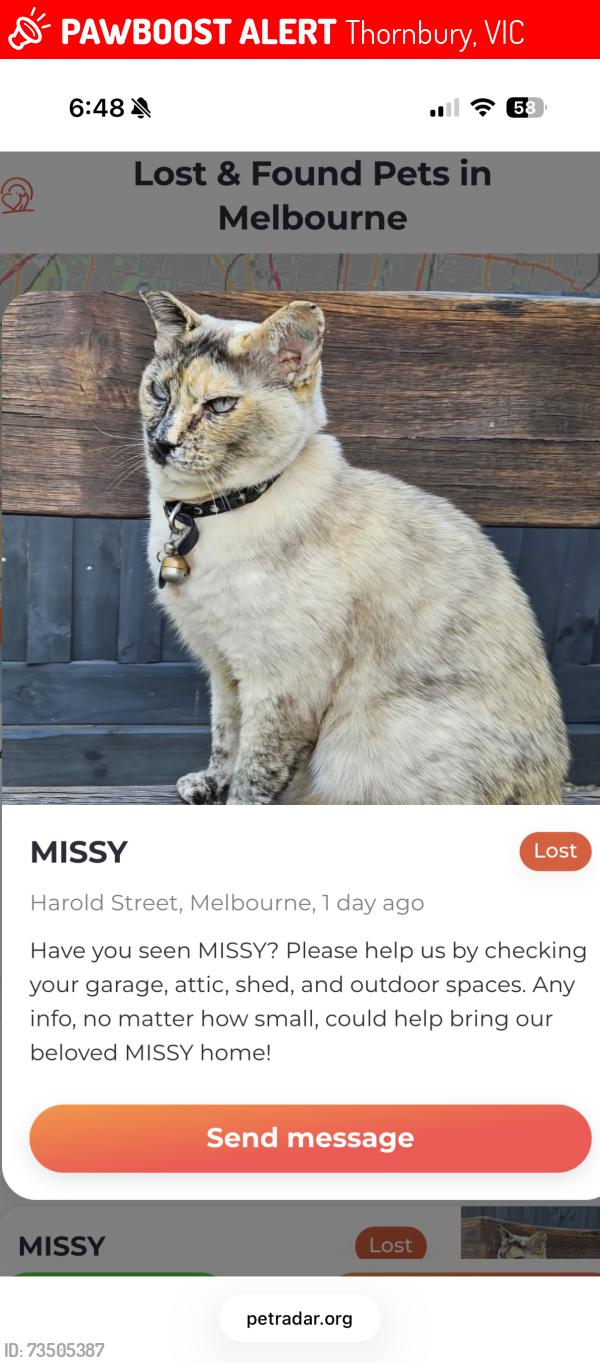 Lost Female Cat last seen Harold street thornbury, Thornbury, VIC 3071