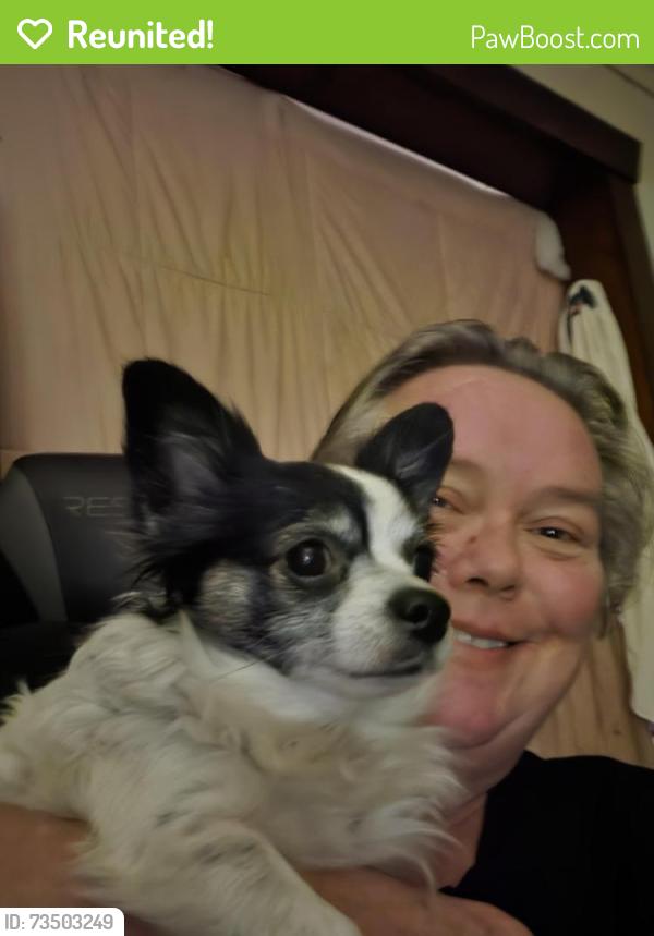 Reunited Female Dog last seen Englewood area, Independence, MO 64052