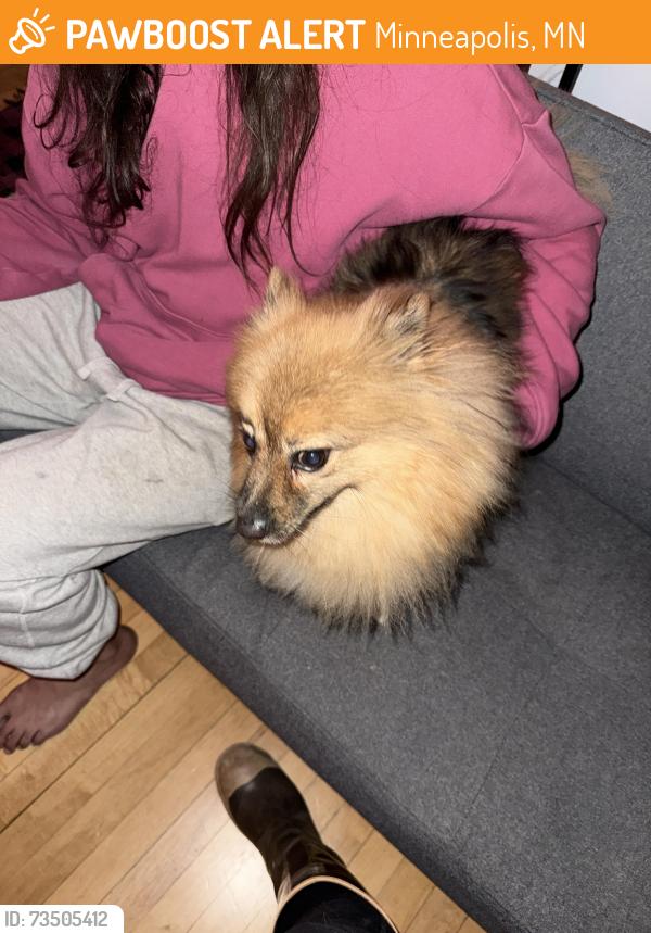 Found/Stray Male Dog last seen 16th & 2nd street, Minneapolis, MN 55413