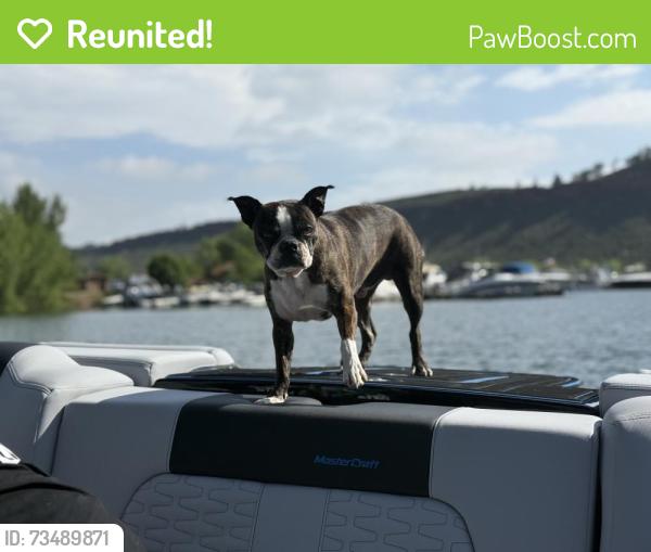 Reunited Male Dog last seen Ida, Centennial, CO 80015