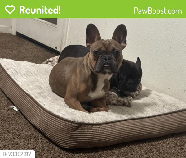 Reunited Male Dog last seen Granite creek, Merced, CA 95348