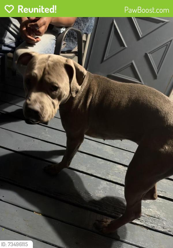 Reunited Female Dog last seen Huntington east middle school, Huntington, WV 25701